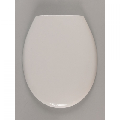 CORSICA NEUTRAL WC DASKA INOX VIJCI (530747)