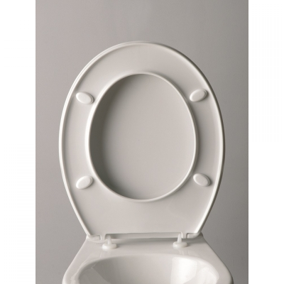 CORSICA NEUTRAL WC DASKA INOX VIJCI (530747)