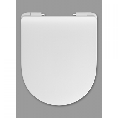 RAY SOFTCLOSE PREMIUM WC DASKA TAKE OFF (531339)