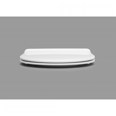RAY SOFTCLOSE PREMIUM WC DASKA TAKE OFF (531339)