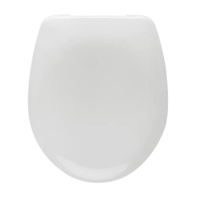 ARENA WC DASKA-INOX VIJCI-C2