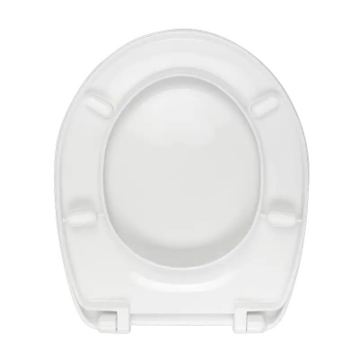 ARENA WC DASKA-INOX VIJCI-C2
